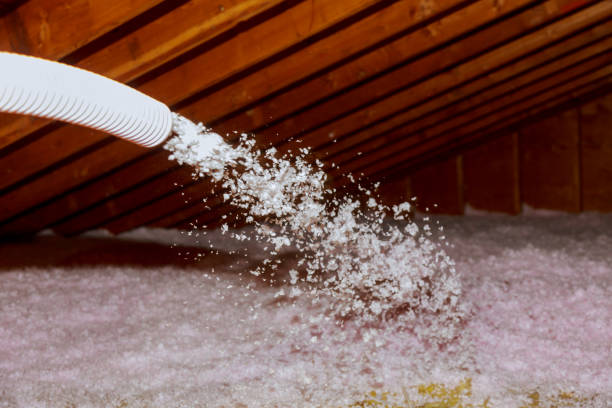 Best Fiberglass Insulation  in Itasca, IL