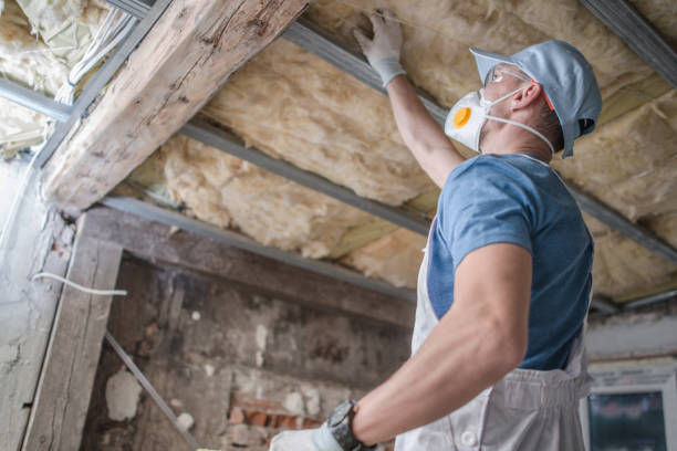 Best Insulation Contractors for Homes  in Itasca, IL