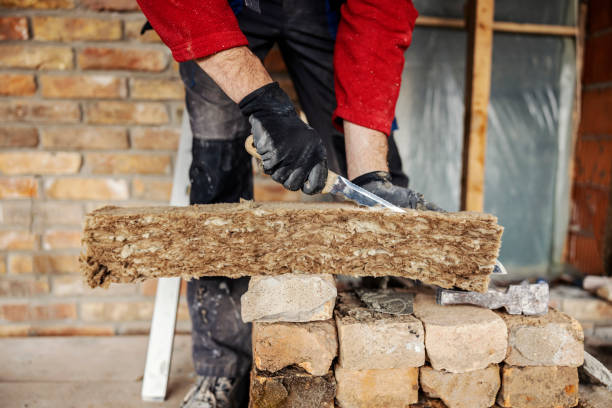 Best Insulation Removal  in Itasca, IL