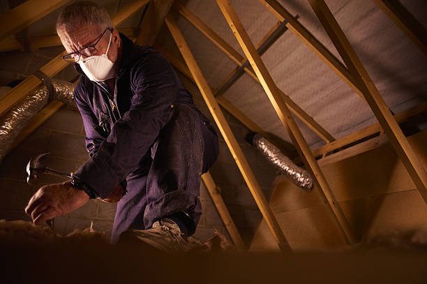 Best Attic Insulation Installation  in Itasca, IL